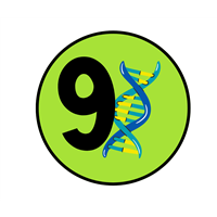 Pre-K Badge 9 Badge
